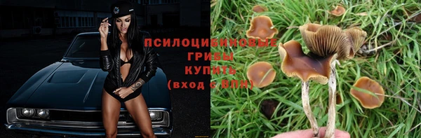 твердый Белоозёрский